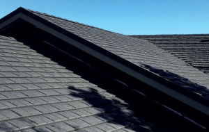 Read more about the article Essential Winter Prep Tips for Orlando Homeowners